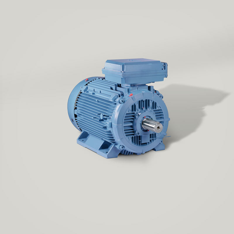 Processmotor